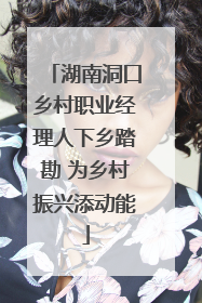湖南洞口乡村职业经理人下乡踏勘 为乡村振兴添动能