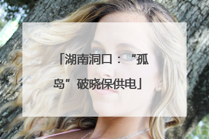 湖南洞口：“孤岛”破晓保供电