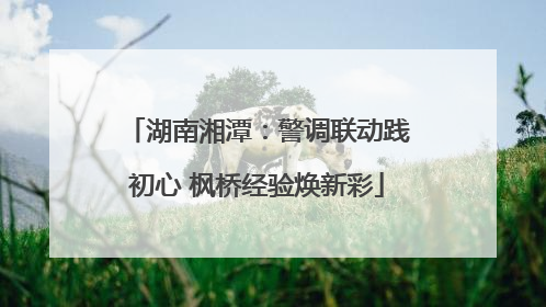 湖南湘潭：警调联动践初心 枫桥经验焕新彩