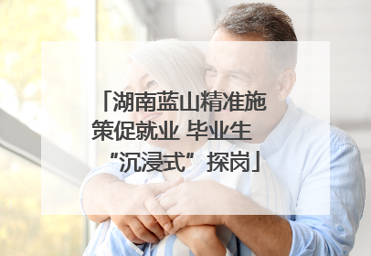 湖南蓝山精准施策促就业 毕业生“沉浸式”探岗