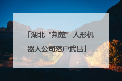 湖北“荆楚”人形机器人公司落户武昌