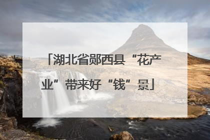 湖北省郧西县“花产业”带来好“钱”景