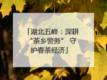 湖北五峰：深耕“茶乡警务” 守护春茶经济