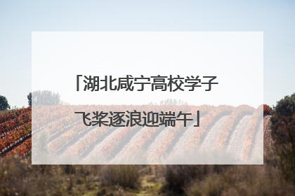 湖北咸宁高校学子飞桨逐浪迎端午