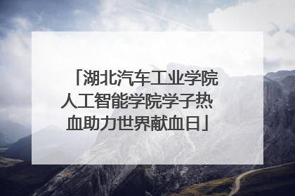 湖北汽车工业学院人工智能学院学子热血助力世界献血日