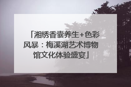 湘绣香囊养生+色彩风暴：梅溪湖艺术博物馆文化体验盛宴