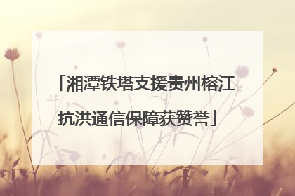 湘潭铁塔支援贵州榕江抗洪通信保障获赞誉