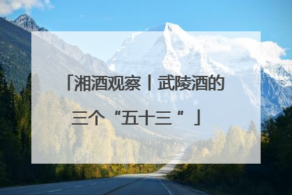 湘酒观察丨武陵酒的三个“五十三 ”
