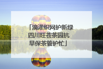 滴灌织网护新绿 四川旺苍茶园抗旱保茶管护忙