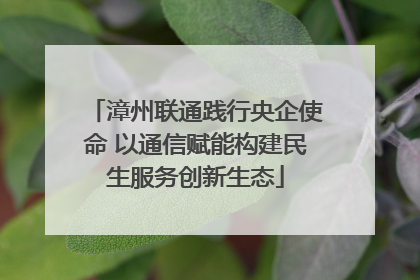 漳州联通践行央企使命 以通信赋能构建民生服务创新生态