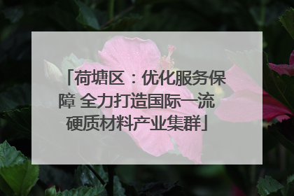 荷塘区：优化服务保障 全力打造国际一流硬质材料产业集群