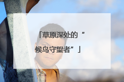 草原深处的“候鸟守望者”