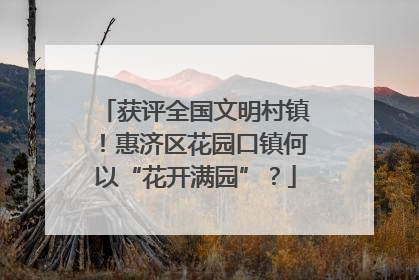 获评全国文明村镇！惠济区花园口镇何以“花开满园”？
