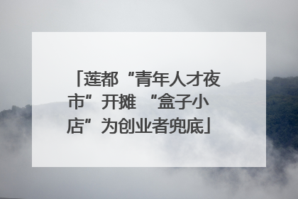 莲都“青年人才夜市”开摊 “盒子小店”为创业者兜底