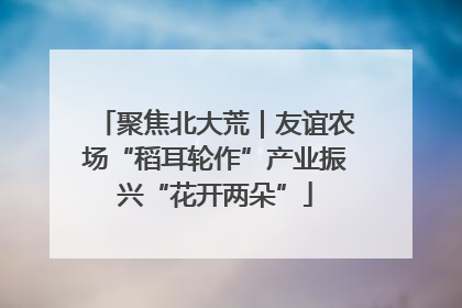 聚焦北大荒｜友谊农场“稻耳轮作”产业振兴“花开两朵”