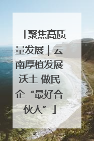 聚焦高质量发展｜云南厚植发展沃土 做民企“最好合伙人”