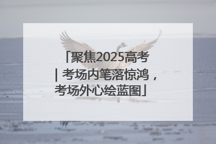 聚焦2025高考｜考场内笔落惊鸿，考场外心绘蓝图