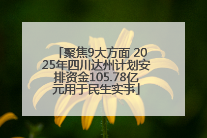 聚焦9大方面 2025年四川达州计划安排资金105.78亿元用于民生实事