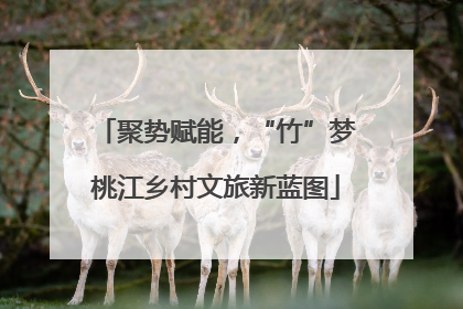 聚势赋能，“竹”梦桃江乡村文旅新蓝图