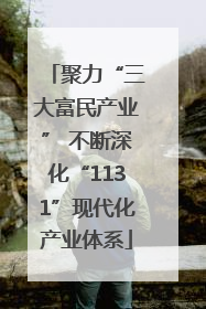 聚力“三大富民产业” 不断深化“1131”现代化产业体系