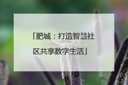 肥城：打造智慧社区共享数字生活