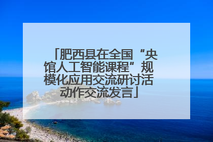肥西县在全国“央馆人工智能课程”规模化应用交流研讨活动作交流发言