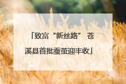 致富“新丝路” 苍溪县首批蚕茧迎丰收