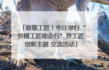 致敬工匠！枣庄举行“劳模工匠助企行”暨工匠创新主题 交流活动
