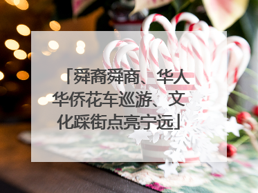 舜裔舜商、华人华侨花车巡游、文化踩街点亮宁远