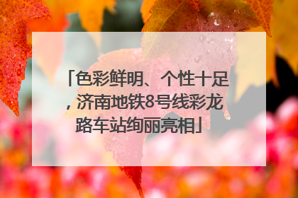 色彩鲜明、个性十足，济南地铁8号线彩龙路车站绚丽亮相