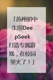 苏州初中生用DeepSeek打造专属游戏，在校园里火了！