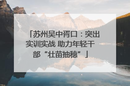 苏州吴中胥口：突出实训实战 助力年轻干部“壮苗抽穗”