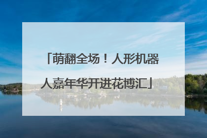 萌翻全场！人形机器人嘉年华开进花博汇