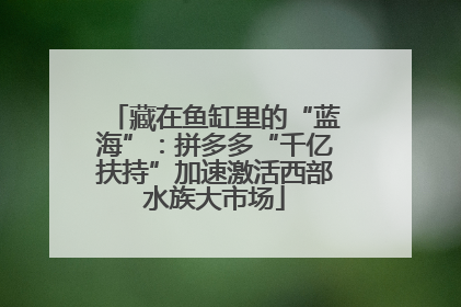 藏在鱼缸里的“蓝海”：拼多多“千亿扶持”加速激活西部水族大市场