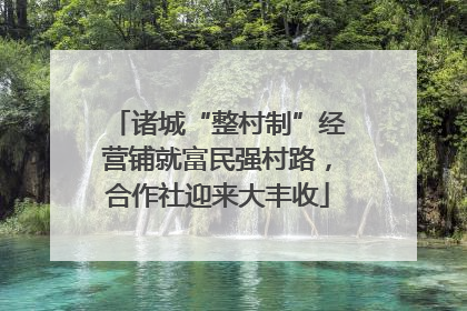 诸城“整村制”经营铺就富民强村路，合作社迎来大丰收