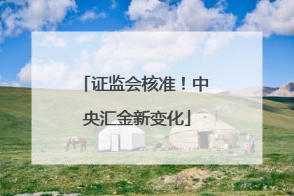 证监会核准！中央汇金新变化