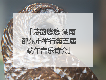 诗韵悠悠 湖南邵东市举行第五届端午音乐诗会