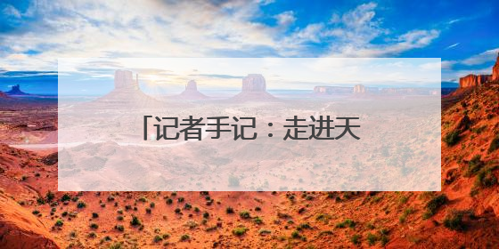 记者手记：走进天津港，窥见未来现代化港口的模样