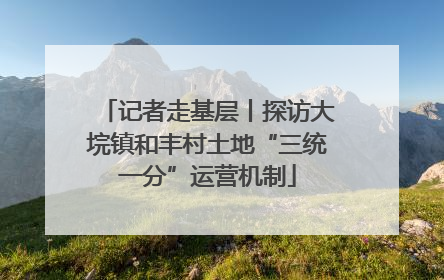 记者走基层丨探访大垸镇和丰村土地“三统一分”运营机制
