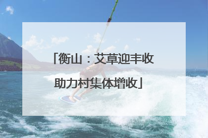 衡山：艾草迎丰收 助力村集体增收