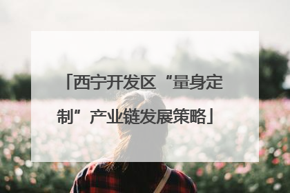 西宁开发区“量身定制”产业链发展策略