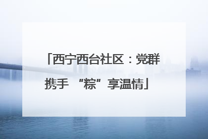 西宁西台社区：党群携手 “粽”享温情