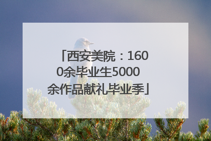 西安美院：1600余毕业生5000余作品献礼毕业季