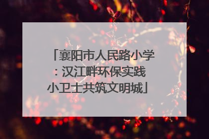 襄阳市人民路小学：汉江畔环保实践 小卫士共筑文明城