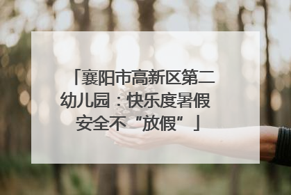 襄阳市高新区第二幼儿园：快乐度暑假 安全不“放假”
