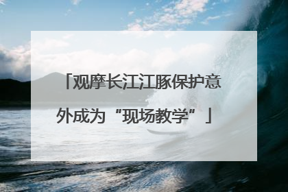 观摩长江江豚保护意外成为“现场教学”