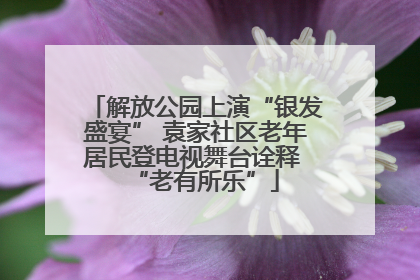 解放公园上演“银发盛宴” 袁家社区老年居民登电视舞台诠释 “老有所乐”