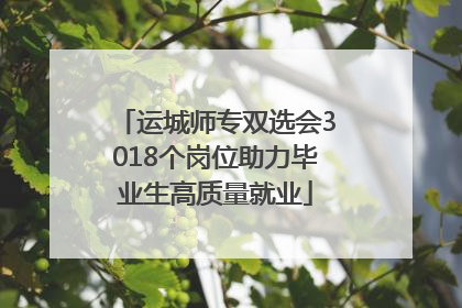 运城师专双选会3018个岗位助力毕业生高质量就业