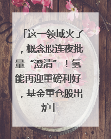 这一领域火了，概念股连夜批量“澄清”！氢能再迎重磅利好，基金重仓股出炉