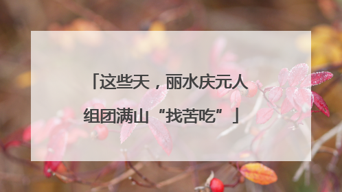 这些天，丽水庆元人组团满山“找苦吃”